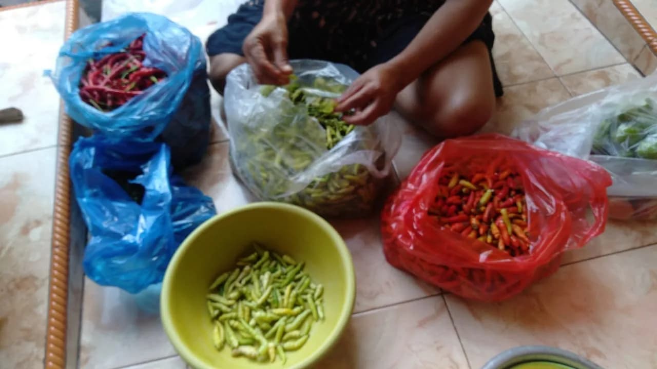 Persiapan bahan baku